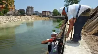 Tabakhane Deresinin Çevresi Hızla Değişmeye Devam Ediyor