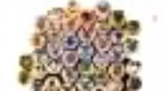 Hepimiz Deliyiz Kitabı