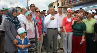 Acarlar Longozu Nilüfer Şenliği Düzenlendi