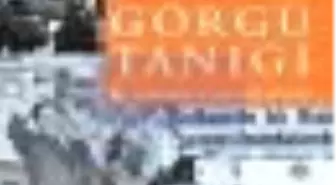 Görgü Tanığı Kitabı