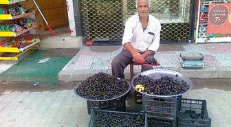 Napolyon Kirazı Fiyatı 2 Liraya Kadar Düştü