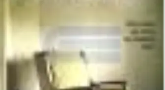 Sürtük ve Kalpazan Kitabı