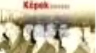 Yassıada'da Don Davası, Cımbız Davası, Köpek Davası Kitabı