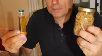 Bu Proje İncir Çekirdeğini Doldurur