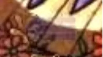 Saz Caz Düğün Varyete Kitabı