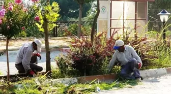 Sarıgöl Belediyesi, Yabancı Otlarla Mücadele Başlattı