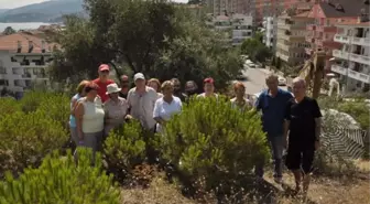 Mudanya'da Ağaç İçin Direniş