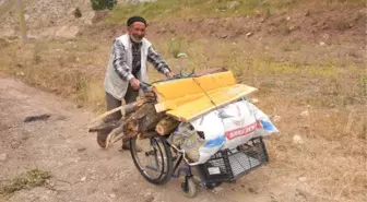 Tekerlekli Sandalyede Kışlık Odun