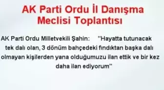 AK Parti Ordu İl Danışma Meclisi Toplantısı