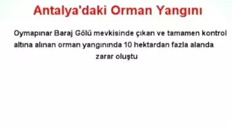 Antalya'daki Orman Yangını