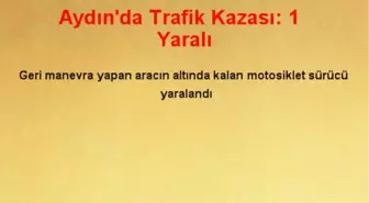Aydın'da Trafik Kazası: 1 Yaralı