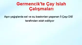 Germencik'te Çay Islah Çalışmaları