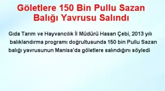 Göletlere 150 Bin Pullu Sazan Balığı Yavrusu Salındı