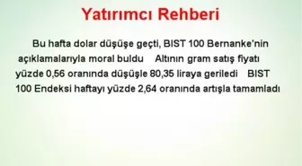 Yatırımcı Rehberi