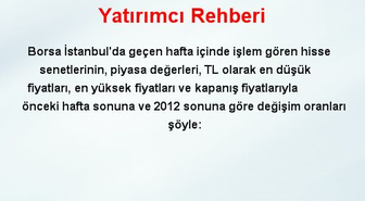 Yatırımcı Rehberi