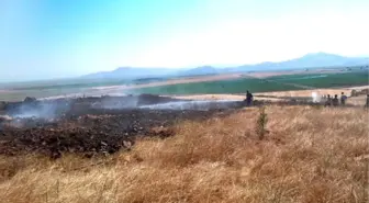 Kahramanmaraş'ta Zeytin ve Şeftali Bahçesinde Yangın