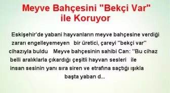 Meyve Bahçesini 'Bekçi Var' ile Koruyor