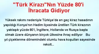 'Türk Kirazı'Nın Yüzde 80'i İhracata Gidiyor