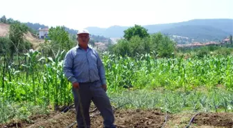 ' DSİ ' Bereket Getirdi