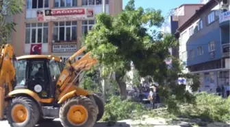 Burdur'daki Ağaç Kesme Tartışması