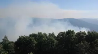 Mustafakemalpaşa' da Orman Yangını
