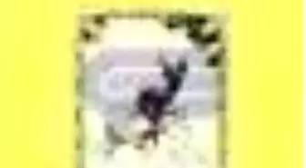 Andersen Masalları Cilt: 1 Kitabı