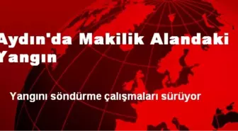 Aydın'da Makilik Alandaki Yangın