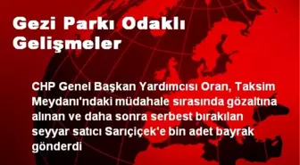 Gezi Parkı Odaklı Gelişmeler