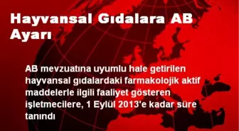 Hayvansal Gıdalara AB Ayarı