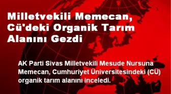 Milletvekili Memecan, Cü'deki Organik Tarım Alanını Gezdi