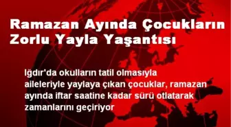 Ramazan Ayında Çocukların Zorlu Yayla Yaşantısı