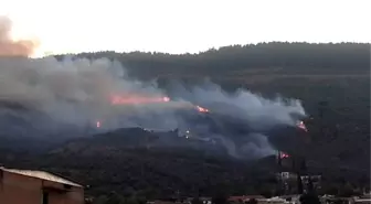 Söke'de Sazlı'nın Ardından Özbey Mahallesinde de Yangın Çıktı