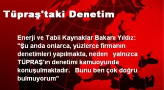 Tüpraş'taki Denetim