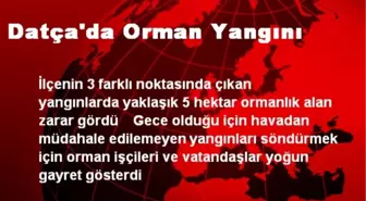 Datça'da Orman Yangını