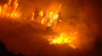 Hatay'da Orman Yangını