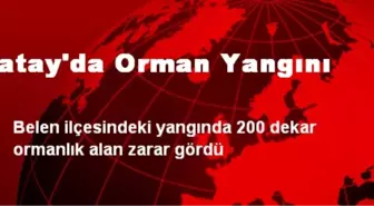 Hatay'da Orman Yangını