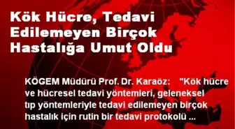 Kök Hücre, Tedavi Edilemeyen Birçok Hastalığa Umut Oldu