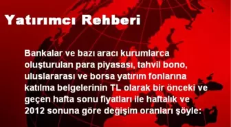 Yatırımcı Rehberi