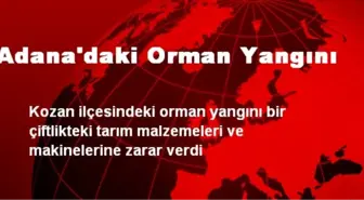 Adana'daki Orman Yangını