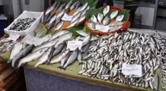 Mevsimine Göre Balıklar