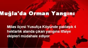 Muğla'da Orman Yangını