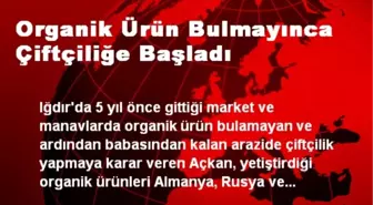 Organik Ürün Bulmayınca Çiftçiliğe Başladı