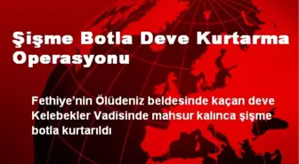 Şişme Botla Deve Kurtarma Operasyonu