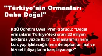 'Türkiye'nin Ormanları Daha Doğal'