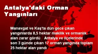 Antalya'daki Orman Yangınları