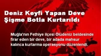 Deniz Keyfi Yapan Deve Şişme Botla Kurtarıldı