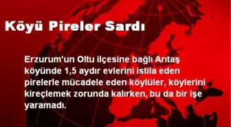 Köyü Pireler Sardı