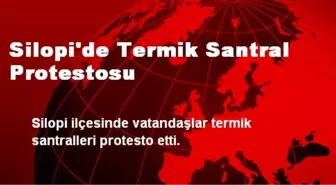 Silopi'de Termik Santral Protestosu