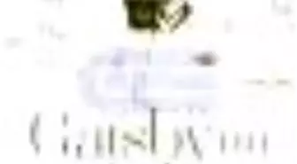 Gatsby'nin Aşkı Kitabı