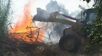 Gebze'de Orman Yangını